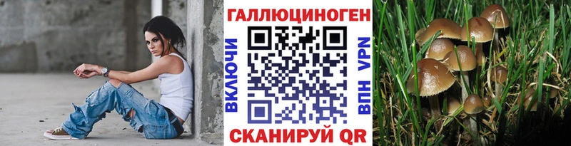 Псилоцибиновые грибы MAGIC MUSHROOMS Калачинск